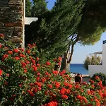 Daire Gerani Sifnos Platis Gialos (Sifnos)
