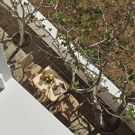 Gerani Sifnos *