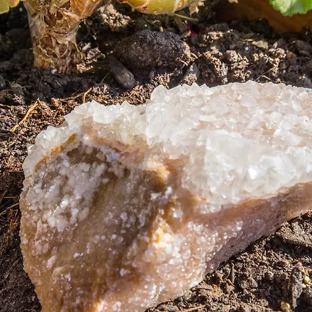 Gerani Sifnos Platis Gialos (Sifnos)