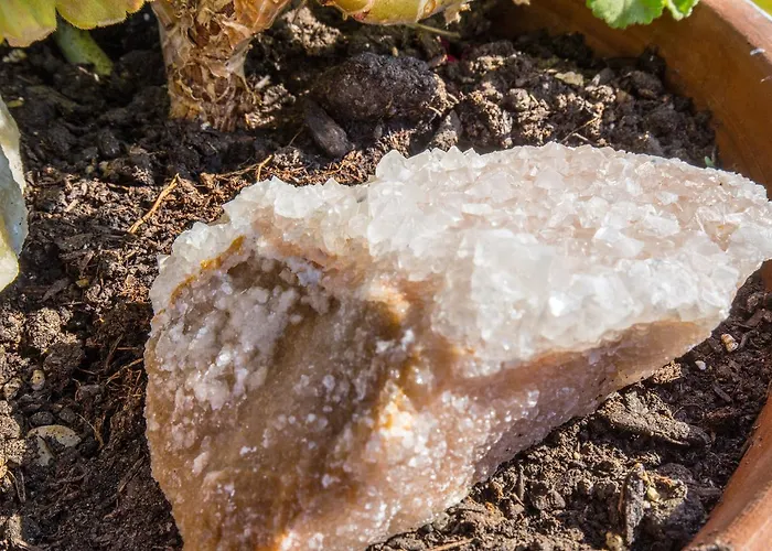 Gerani Sifnos Platis Gialos (Sifnos)